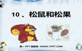 松鼠和松果ppt,自然界的和谐共生