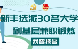 大学生兼职吧,探索兼职新天地，助力成长与就业