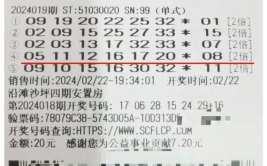 双色球各期中奖号码,揭秘各期中奖号码背后的故事