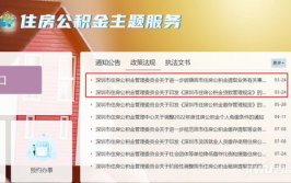 深圳市住房公积金,助力市民安居乐业的坚实后盾