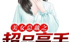 美女总裁的超品高手最新,揭秘美女总裁与神秘高手的传奇爱情与商战风云