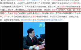 娱乐吃瓜军被告,揭秘网络舆论背后的法律交锋