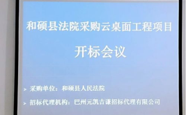 新疆招标网,助力企业高效参与招投标，把握市场机遇