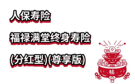 中国人寿福禄金尊,中国人寿倾情打造的高端保险产品解析”