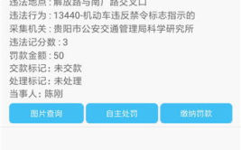 贵州交警网违章查询,一键掌握行车安全，轻松了解违法记录