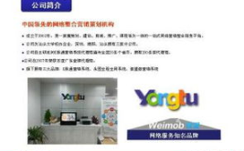 深圳推广,全方位解析品牌网络营销之道”