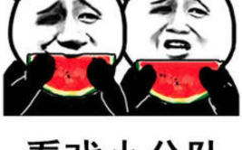 娱乐圈吃瓜专用表情包,那些让人捧腹大笑的吃瓜表情包大集合