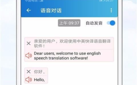 娱乐吃瓜酱英语翻译是什么,From 'Entertainment Gossipy Sauce' to English: A Summary of the Translation Journey